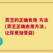 灵芝的正确食用 方法(灵芝正确食用方法，让你更加受益)