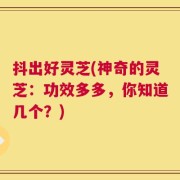 抖出好灵芝(神奇的灵芝：功效多多，你知道几个？)