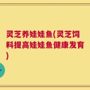 灵芝养娃娃鱼(灵芝饲料提高娃娃鱼健康发育)