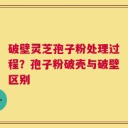 破壁灵芝孢子粉处理过程？孢子粉破壳与破壁区别