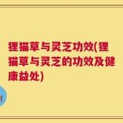 狸猫草与灵芝功效(狸猫草与灵芝的功效及健康益处)