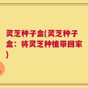 灵芝种子盒(灵芝种子盒：将灵芝种植带回家)
