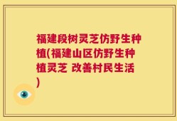 福建段树灵芝仿野生种植(福建山区仿野生种植灵芝 改善村民生活)
