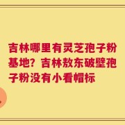 吉林哪里有灵芝孢子粉基地？吉林敖东破壁孢子粉没有小看帽标