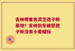 吉林哪里有灵芝孢子粉基地？吉林敖东破壁孢子粉没有小看帽标