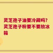 灵芝孢子油要冷藏吗？灵芝孢子粉要不要放冰箱