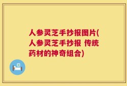 人参灵芝手抄报图片(人参灵芝手抄报 传统药材的神奇组合)