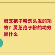 灵芝孢子粉洗头发的功效？灵芝孢子粉的功效是什么