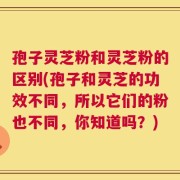 孢子灵芝粉和灵芝粉的区别(孢子和灵芝的功效不同，所以它们的粉也不同，你知道吗？)