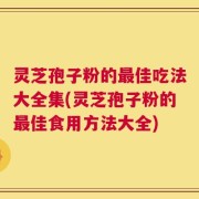 灵芝孢子粉的最佳吃法大全集(灵芝孢子粉的最佳食用方法大全)