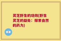 灵芝野生的功效(野生灵芝的益处：探索自然的药力)