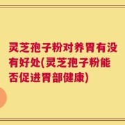 灵芝孢子粉对养胃有没有好处(灵芝孢子粉能否促进胃部健康)
