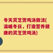 冬天灵芝煲鸡汤做法(温暖冬日，打造营养健康的灵芝煲鸡汤)