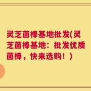 灵芝菌棒基地批发(灵芝菌棒基地：批发优质菌棒，快来选购！)