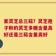 紫灵芝总三萜？灵芝孢子粉的灵芝多糖含量高好还是三萜含量高好