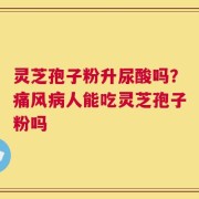 灵芝孢子粉升尿酸吗？痛风病人能吃灵芝孢子粉吗