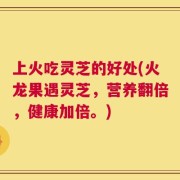 上火吃灵芝的好处(火龙果遇灵芝，营养翻倍，健康加倍。)