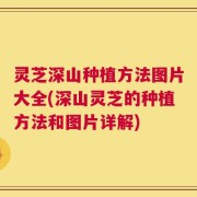 灵芝深山种植方法图片大全(深山灵芝的种植方法和图片详解)