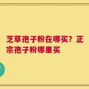 芝草孢子粉在哪买？正宗孢子粉哪里买