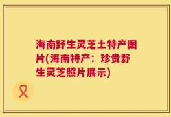 海南野生灵芝土特产图片(海南特产：珍贵野生灵芝照片展示)
