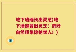 地下墙缝长出灵芝(地下墙缝冒出灵芝：奇妙自然现象惊艳世人！)