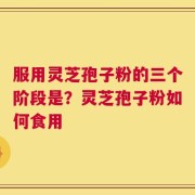 服用灵芝孢子粉的三个阶段是？灵芝孢子粉如何食用