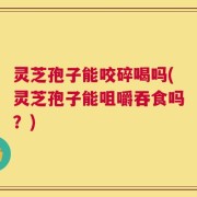 灵芝孢子能咬碎喝吗(灵芝孢子能咀嚼吞食吗？)
