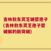 吉林敖东灵芝破壁孢子(吉林敖东灵芝孢子壁破解的新突破)