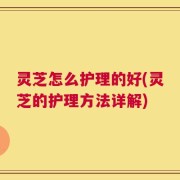 灵芝怎么护理的好(灵芝的护理方法详解)
