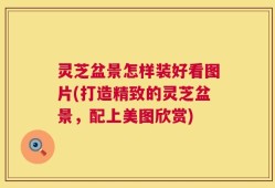 灵芝盆景怎样装好看图片(打造精致的灵芝盆景，配上美图欣赏)