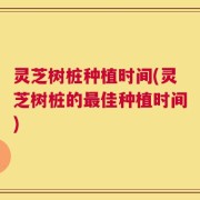 灵芝树桩种植时间(灵芝树桩的最佳种植时间)