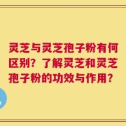 灵芝与灵芝孢子粉有何区别？了解灵芝和灵芝孢子粉的功效与作用？