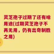 灵芝孢子过期了还有啥用途(过期灵芝孢子不再无用，仍有出奇制胜之用)