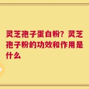 灵芝孢子蛋白粉？灵芝孢子粉的功效和作用是什么