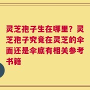 灵芝孢子生在哪里？灵芝孢子究竟在灵芝的伞面还是伞底有相关参考书籍