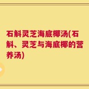 石斛灵芝海底椰汤(石斛、灵芝与海底椰的营养汤)