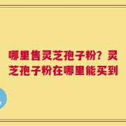 哪里售灵芝孢子粉？灵芝孢子粉在哪里能买到