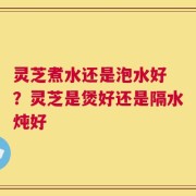 灵芝煮水还是泡水好 ？灵芝是煲好还是隔水炖好