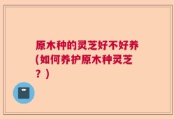 原木种的灵芝好不好养(如何养护原木种灵芝？)