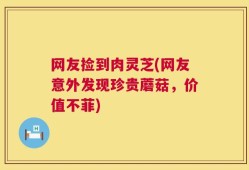 网友捡到肉灵芝(网友意外发现珍贵蘑菇，价值不菲)