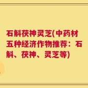 石斛茯神灵芝(中药材五种经济作物推荐：石斛、茯神、灵芝等)