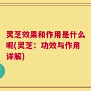 灵芝效果和作用是什么呢(灵芝：功效与作用详解)