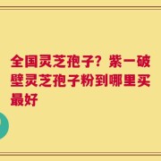全国灵芝孢子？紫一破壁灵芝孢子粉到哪里买最好