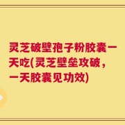 灵芝破壁孢子粉胶囊一天吃(灵芝壁垒攻破，一天胶囊见功效)