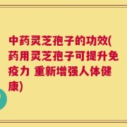 中药灵芝孢子的功效(药用灵芝孢子可提升免疫力 重新增强人体健康)