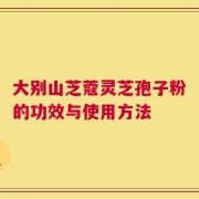 大别山芝蔻灵芝孢子粉的功效与使用方法