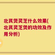 北芪煲灵芝什么效果(北芪灵芝煲的功效及作用分析)