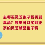 去哪买灵芝孢子粉买到真品？哪里可以买到正宗的灵芝破壁孢子粉