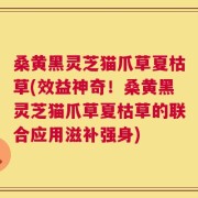 桑黄黑灵芝猫爪草夏枯草(效益神奇！桑黄黑灵芝猫爪草夏枯草的联合应用滋补强身)