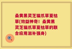 桑黄黑灵芝猫爪草夏枯草(效益神奇！桑黄黑灵芝猫爪草夏枯草的联合应用滋补强身)